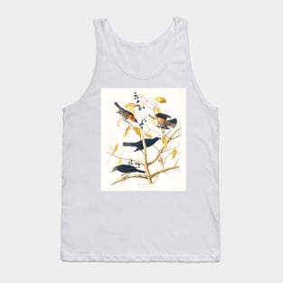 Rusty Grakle from Birds of America (1827) Tank Top